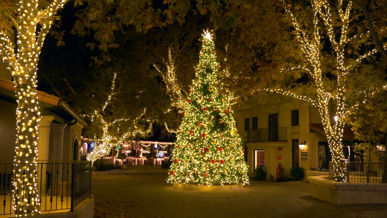 テラカパキのクリスマスツリー 2 セドナ アリゾナ | Atmoph Window