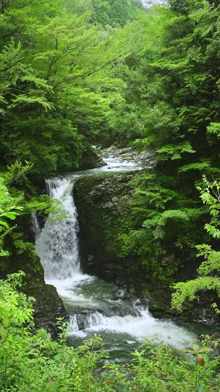新古美術 玄清堂 | 厳選された美術品を世界遺産「石見銀山」が
