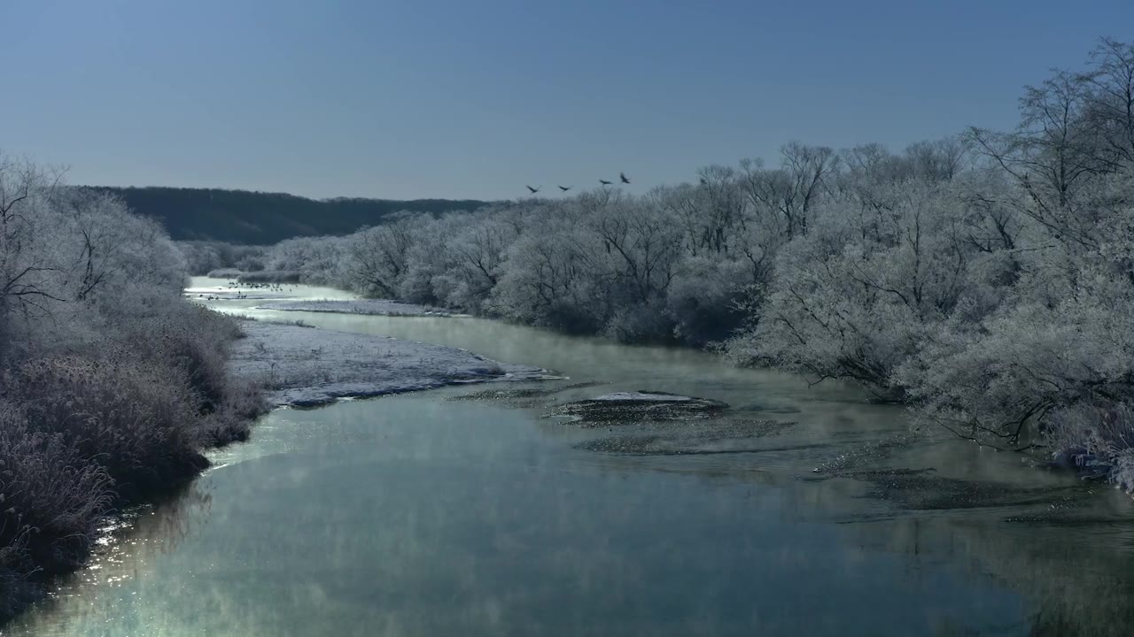 霧の雪裡川 1 北海道 | Atmoph Window
