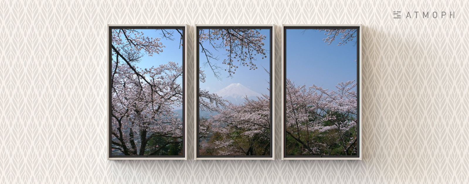 富士山と桜 3 山梨 | Atmoph Window